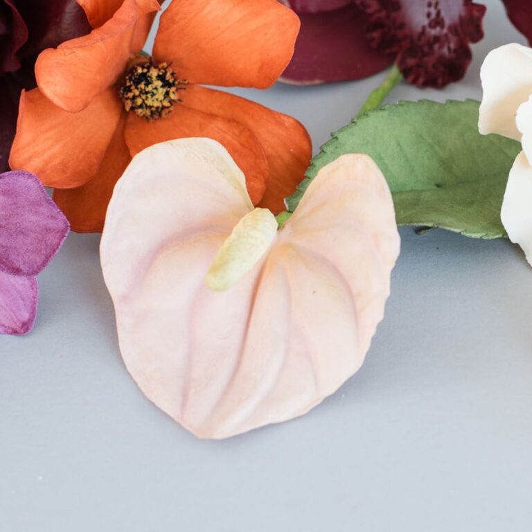 Anthurium Lily