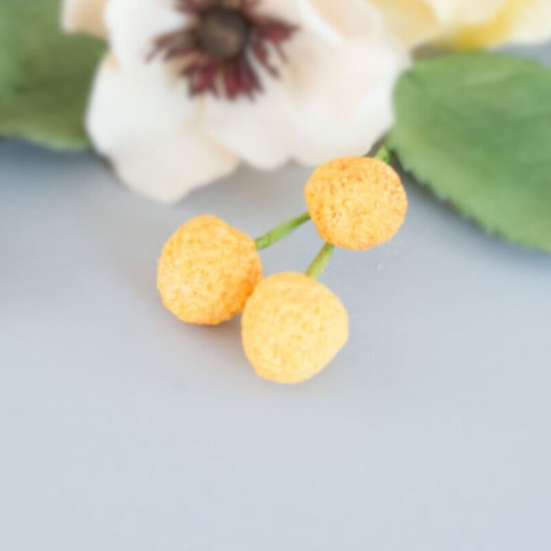 Craspedia (Billy Balls) - Image 2